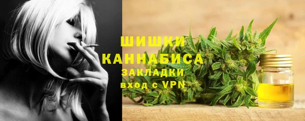 прущие грибы Беломорск