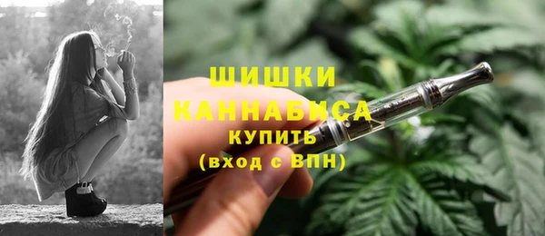 прущие грибы Беломорск