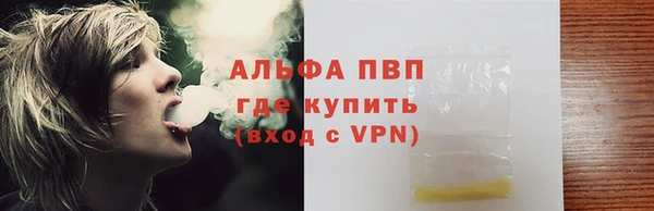 прущие грибы Беломорск
