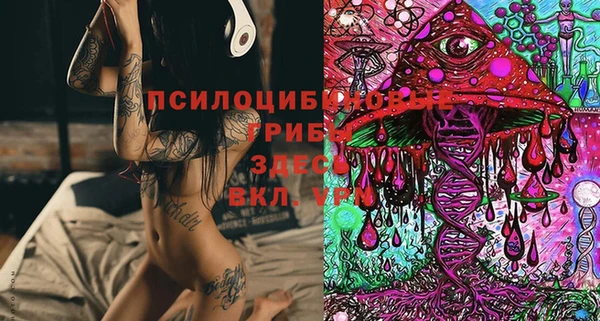 прущие грибы Беломорск