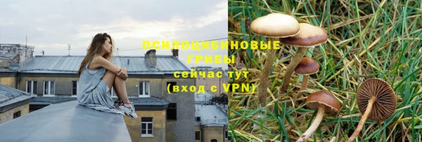 метадон Белоозёрский