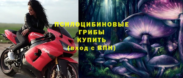 не бодяженный Белокуриха