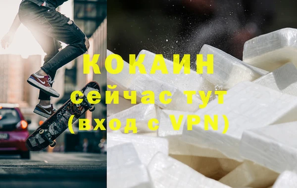 прущие грибы Беломорск