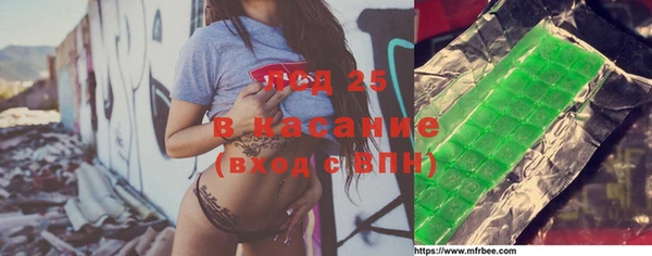 прущие грибы Беломорск