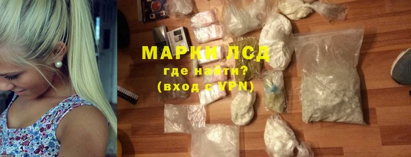 прущие грибы Беломорск