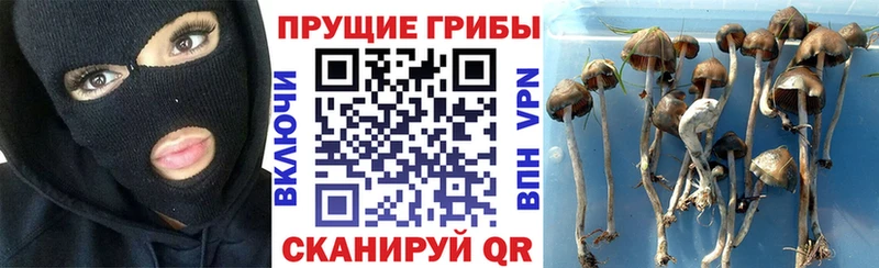 продажа наркотиков  Улан-Удэ  Псилоцибиновые грибы Magic Shrooms 